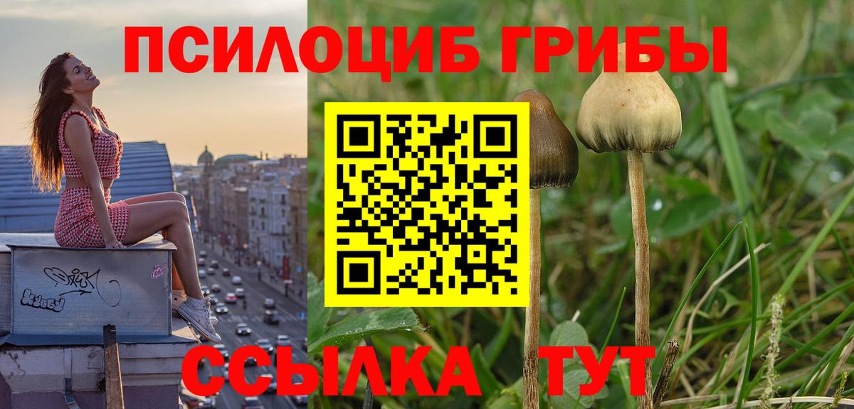 Саранск  наркота  Галлюциногенные грибы прущие грибы  Вход с VPN  Галлюциногенные грибы ЛСД 