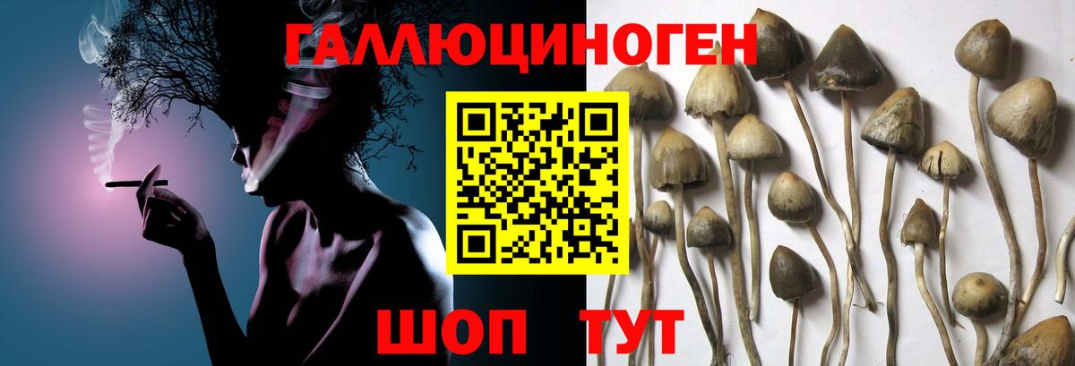 Псилоцибиновые грибы прущие грибы Саранск